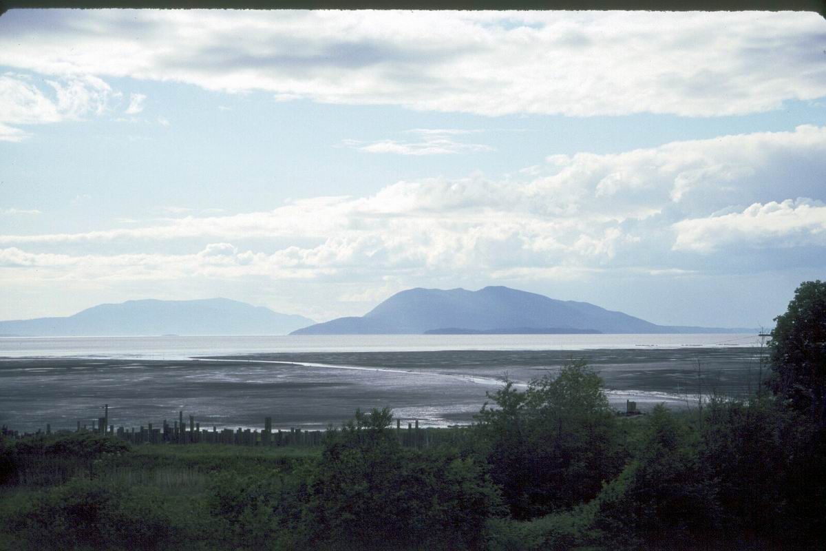 010 Samish Bay Puget Sound.jpg