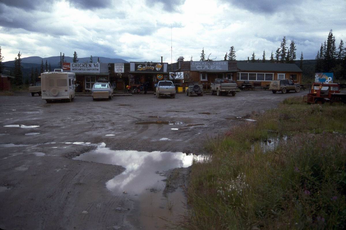 120 Beautiful Downtown Chicken.jpg