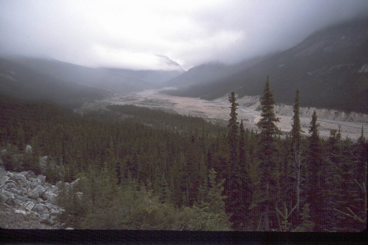 194 MacDonald River valley.jpg