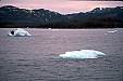 086 Small bergs from glacier.jpg