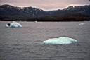 086_Small_bergs_from_glacier.jpg