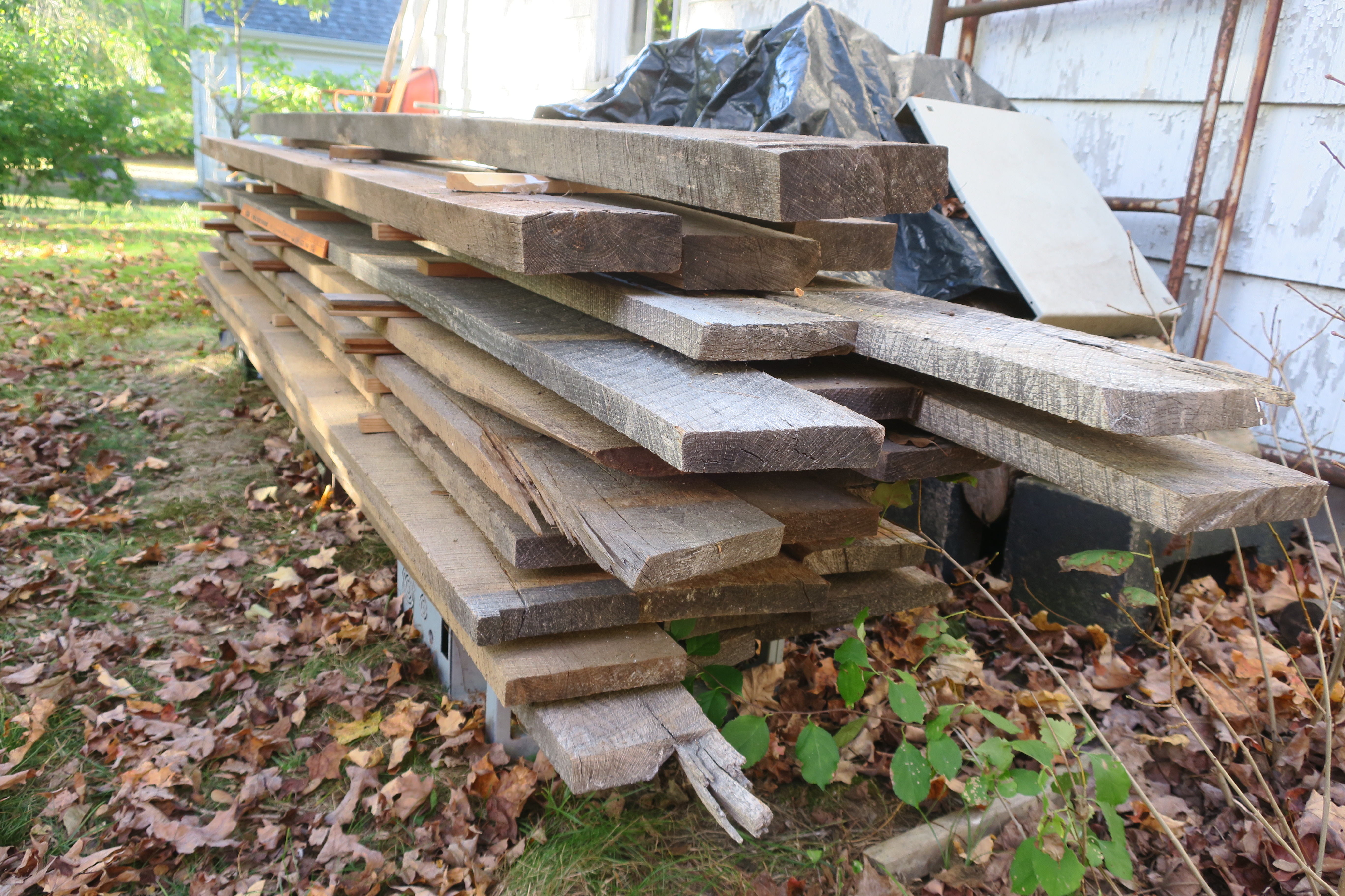 IMG_5385 oak planks.JPG