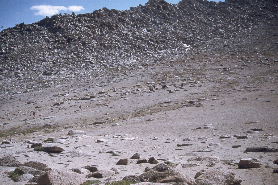 049 Resting in basin.jpg