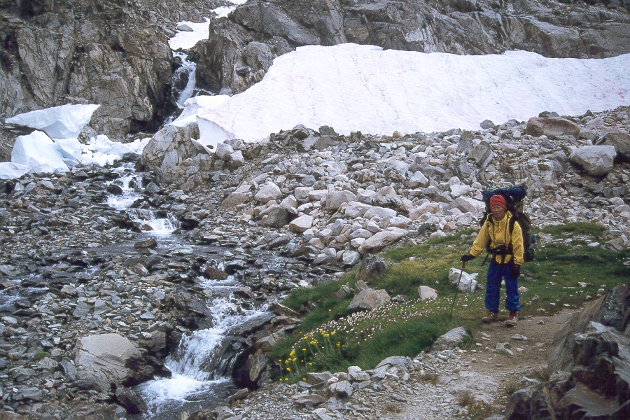 317 Side stream with flowers.jpg