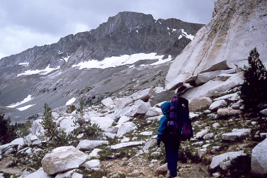 320 Black Giant over trail.jpg