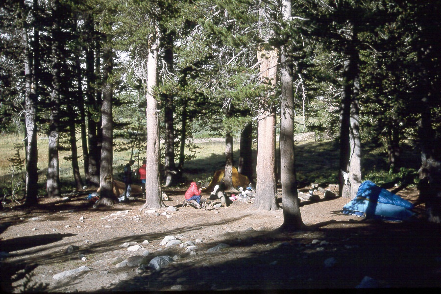 326 Morning Sun into campsite.jpg