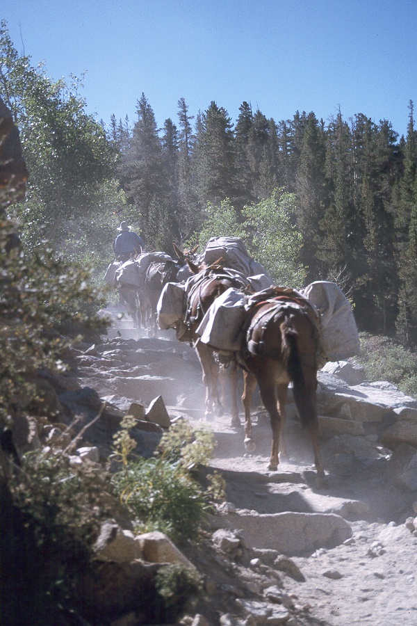 382 Dirtiy and dusty.jpg