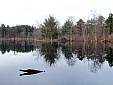 beaverpond_042807_13.jpg