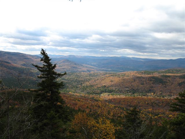 Oct1506_Welsh Dickey4.JPG