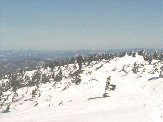 1A Ed coming up Carter Dome.jpg