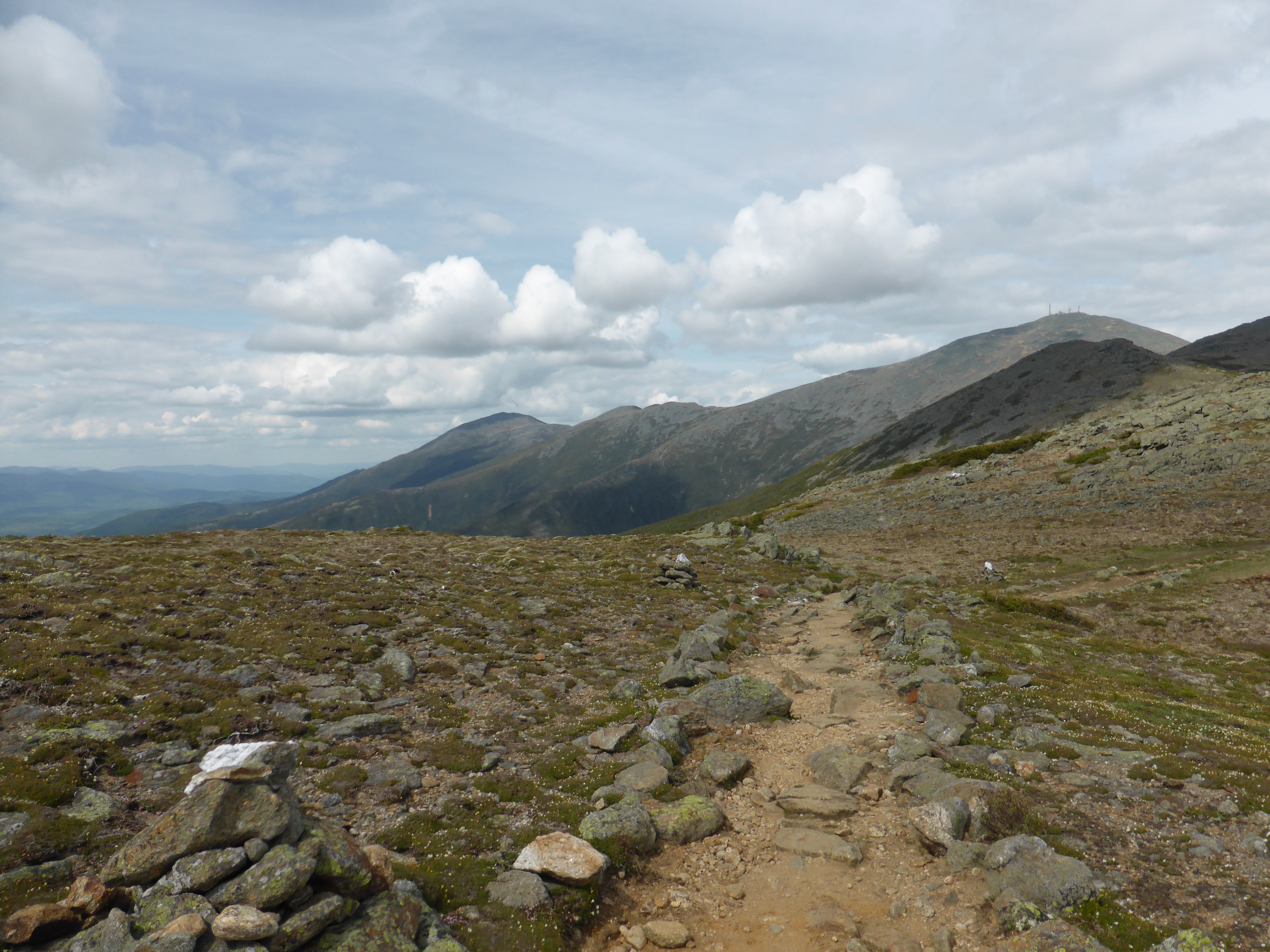 Crawford Path in June.jpg