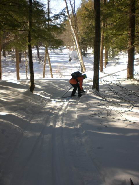 xc-skiing_15.JPG
