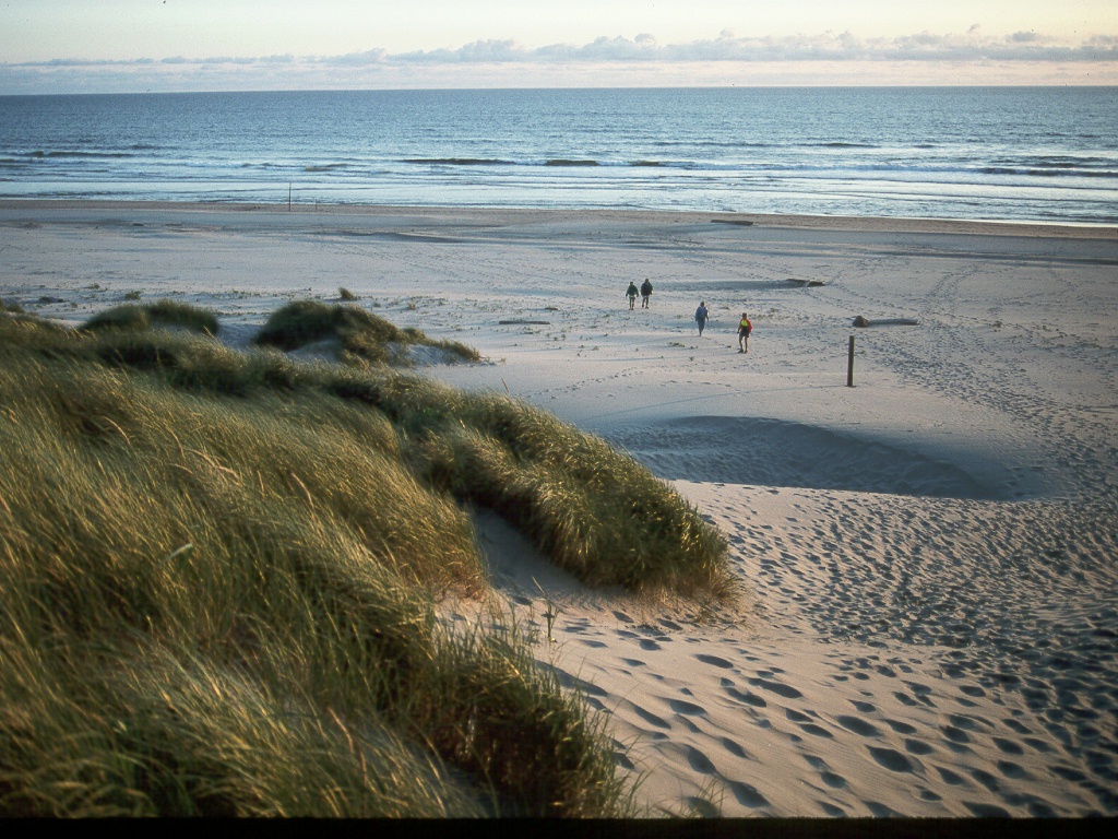 030 Down on beach.jpg