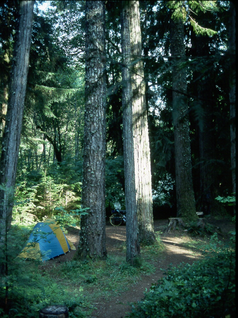 037 Camp in Honeyman SP.jpg