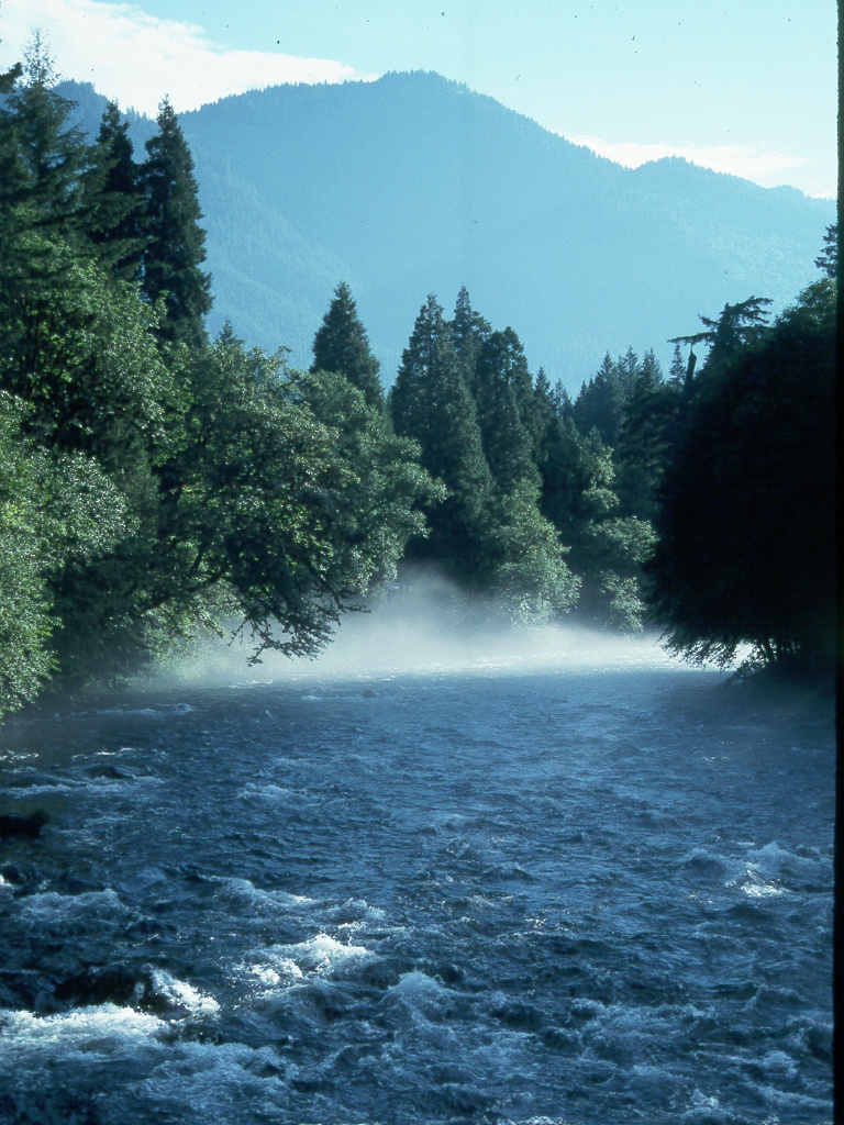 038 Morning river mist.jpg