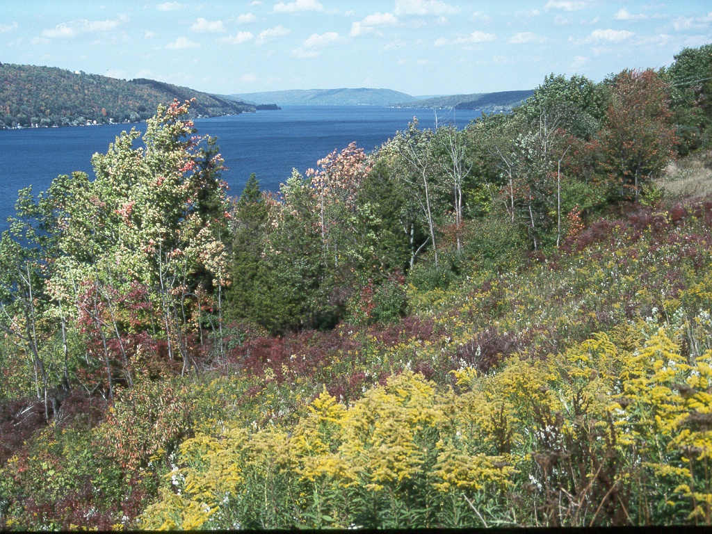 119 Seneca Lake NY.jpg
