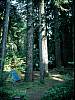 037 Camp in Honeyman SP.jpg
