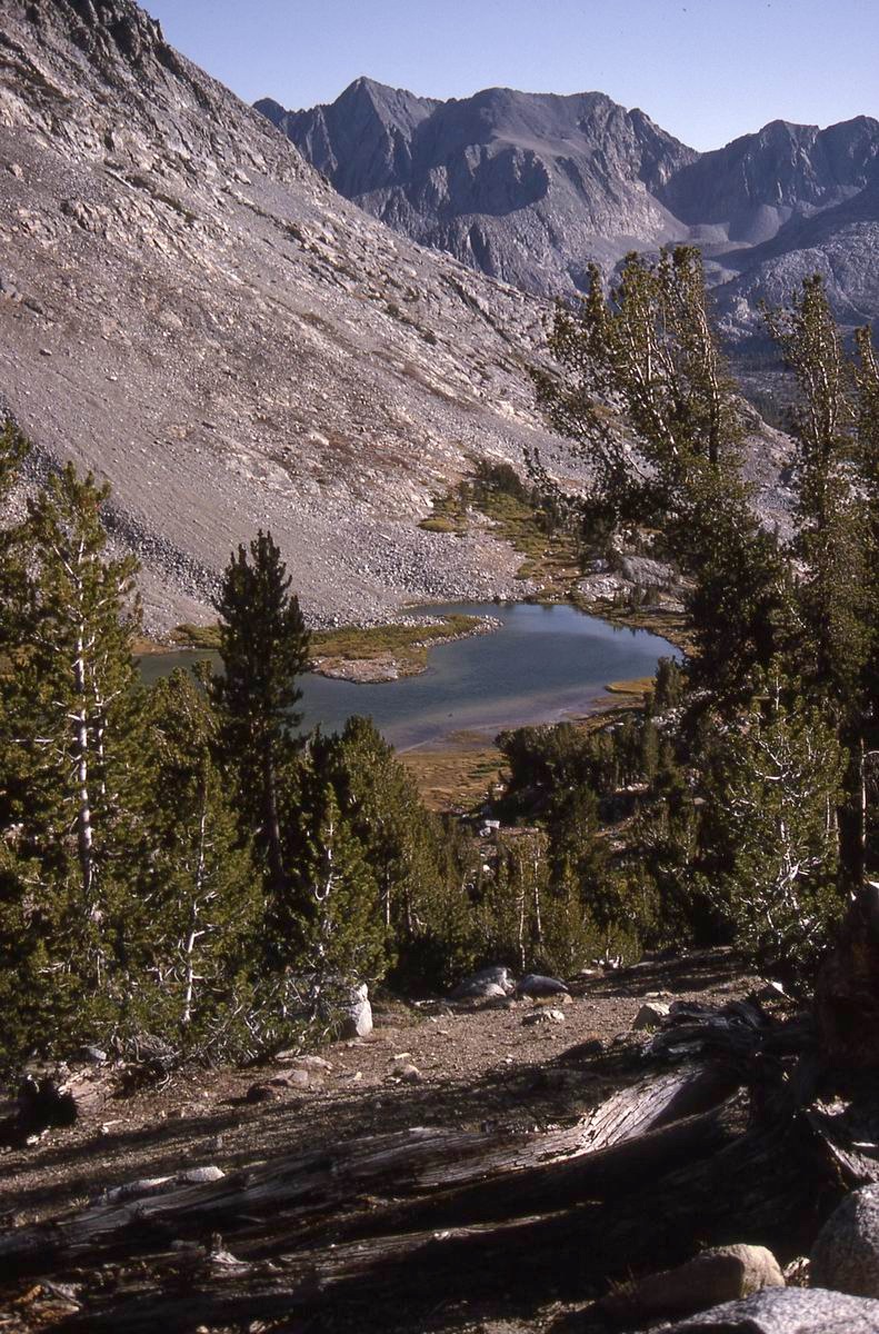 sierra_1992_062.jpg